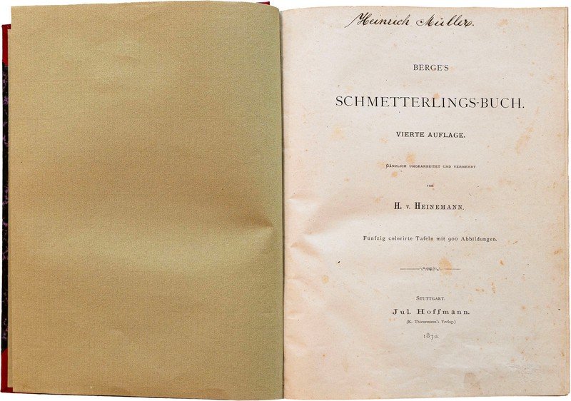 Fr. Berge -  Schmetterlings-buch (il libro delle farfalle)