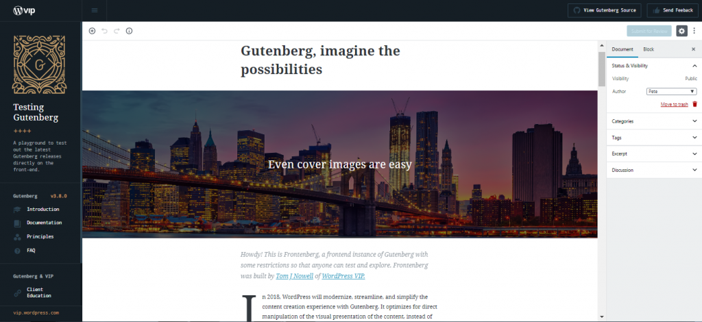 anteprima della visualizzazione di wordpress gutenberg