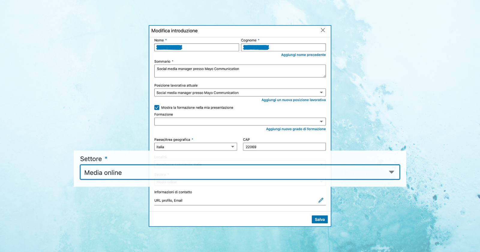 Schermata di tab settore LinkedIn